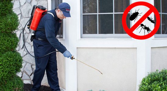 Beyağaç Tahtakurusu İlaçlama böcek ilaçlama ve haşere kontrolü — ilaclama-tr.com